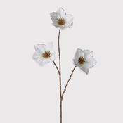 Christmas Rose Spray