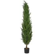 Cedar Tree image