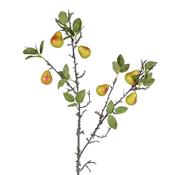 Moss &amp; Pear Stem