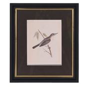 Graceful Stillness Print