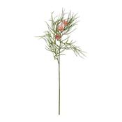 Flower Grevillea image