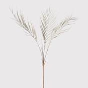 White Palm Spray image