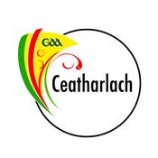 Carlow GAA Flags - 5'x3' image