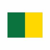 GAA Pitch Flags Set (28) with Flexi Poles (including bag) - Emerald Green/Gold