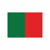 GAA Pitch Flags Set (28) with Flexi Poles (including bag) - Emerald Green/Red