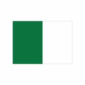 GAA Pitch Flags Set (28) with Flexi Poles (including bag) - Emerald Green/White