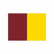 GAA Pitch Flags Set (28) with Rigid Poles (including bag) - Maroon/Gold