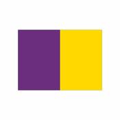 GAA Pitch Flags Set (28) (Flags Only) - Purple/Gold