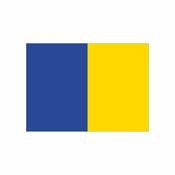 GAA Pitch Flags Set (28) (Flags Only) - Royal Blue/Gold
