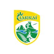 Kerry GAA Flags - 12"x18"