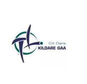 Kildare GAA Flags - Car Flag