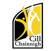 Kilkenny GAA Flags - 12"x18"