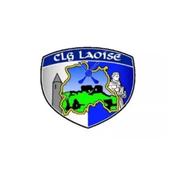 Laois GAA Flags - 5'x3'