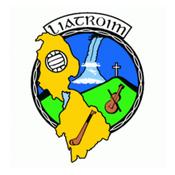 Leitrim GAA Flags - 3'x2'