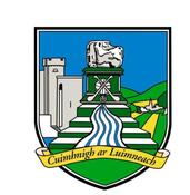 Limerick GAA Flags - 5'x3'