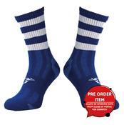 Killannin LGFA - Adult Midi Socks - 7-11 image