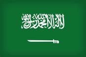 International Flags 5x3 - Saudi Arabia