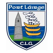Waterford GAA Flags - 5'x3'