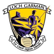 Wexford GAA Flags - 5'x3'