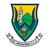 Wicklow GAA Flags - Car Flag