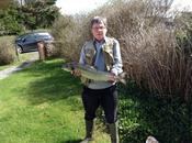 Half Day - Costello and Fermoyle River Beat