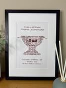 Galway Connacht GAA Senior Football Champions 2025 Nester Cup