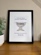 Connacht Senior Football Champions 2026 Roscommon Nester Cup image