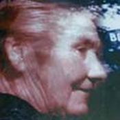 Dáibhí Ó Cróinín