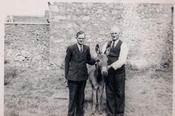 PA MARTIN, TULLAMORE