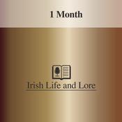 Bronze Subscription