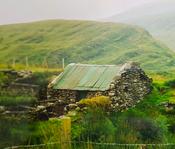 JOHN LUCEY (Part 1) image
