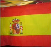 GIANT 8FT X 5FT INTERNATIONAL FLAGS image
