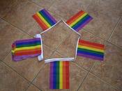 Gay Pride Rainbow Bunting image