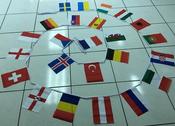 Euro Bunting 15metre