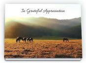 Acknowledgement - ACK420 image
