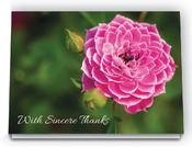 Acknowledgement - ACK430 image