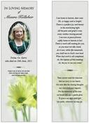 Bookmark - BMN016 image