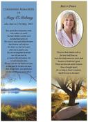 Bookmark - BMN024 image