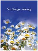 Memorial Card - MCN020 image