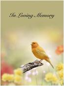 Memorial Card - MCN119 image