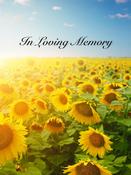 Memorial Card - MCN121 image