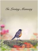 Memorial Card - MCN127 image