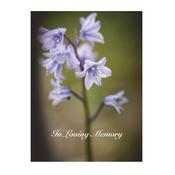 Memorial Card - MCN109