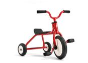 Roadstar 1 Tricycle, 10 Year Guarantee! image