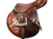 Horse Saddle image