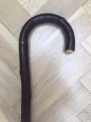 Strong Chestnut Walking Stick image