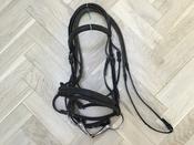 Pony Bridle Complete