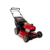 Toro Recycler® S53VST 53cm - JDS Lawnmowers Ireland 2026| Specialists in Lawnmowers