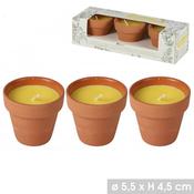 3 PACK CITRONELLA CANDLES IN POTS image