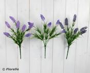 3 ASST. COLOURS LAVENDER BUSH